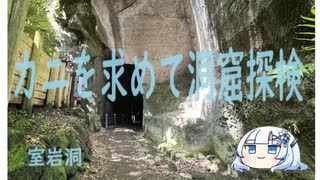 カニを求めて洞窟探検