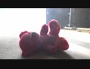 Honest Goodbye - Starlights  (Official Music Video)