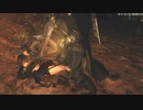 【リョナ / ryona】ドラゴンズドグマ２ Dragon's Dogma II 敵女傭兵くずれ Enemy Female Thief