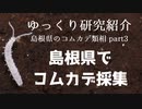 【ゆっくり研究紹介】島根県でコムカデ採集＿島根県のコムカデ類相③