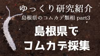 【ゆっくり研究紹介】島根県でコムカデ採集＿島根県のコムカデ類相③