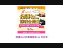 保護ねこの家譲渡会 in 天王寺