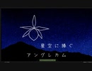 【A-1 ClimaX 2024】星空に贈るアングレカム