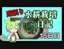 逆張り水耕栽培を楽しむずんだもん（15日目）