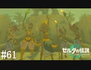 【ゼルダの伝説 Tears of the Kingdom】ゲルド防衛戦【実況】#61