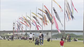 河川敷に約１５０匹のこいのぼり　「こどもの日」中間市の春の風物詩