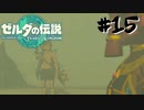 #15 裸でも耐え忍べぬ暑さゲルド砂漠【ゼルダの伝説 TotK】