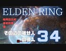 その辺の褪せ人の侵入34