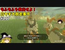 【ゆっくり実況】初めてのティアーズオブザキングダム！ par117  【ティアーズオブザキングダム】