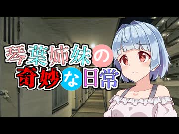 琴葉姉妹の奇妙な日常『箱』【VOICEROID劇場】