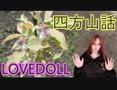 【ラブドール動画】どの動画サイトで見るのか【四方山話】