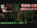 【※ネタバレ注意】神室町よいとこ 一度はおいで【龍が如く極 実況プレイパート15】