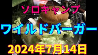 ソロキャンプ　ワイルドバーガー　2018年7月14日