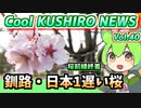 【釧路は桜最遅の地】Cool　KUSHIRO　NEWS　Vo.40【釧路ニュースVOICEVOXずんだもん解説】