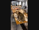 ちょっと黙って！私が喋るから！