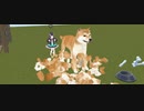 【VRChatワールド紹介】柴犬を収穫するためだけのワールド