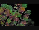 【可不】ネガティブスコープ【オリジナル】