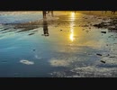 独走/初音ミク