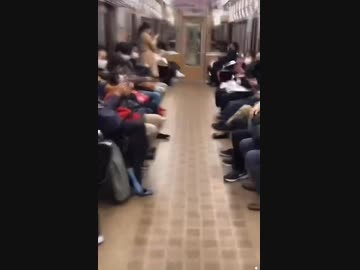 ホモと見る電車の中で羽ばたくバタフリー