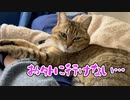 しばらく家でおとなしく…