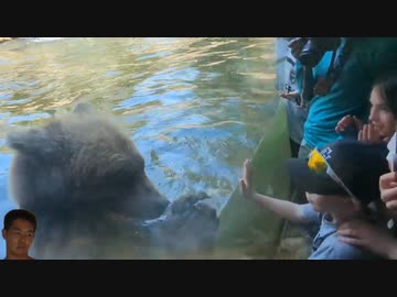 ホモと見る動物園で起きた惨劇