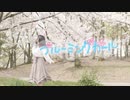 【大遅刻】ブルーミングガール  踊ってみた【ぴのぴ誕】