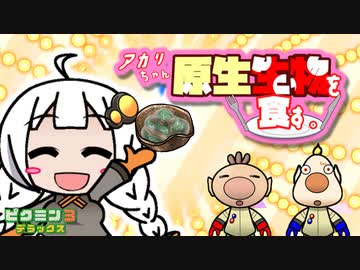 アカリちゃん、原生生物を食す。10品目【ピクミン3デラックス】