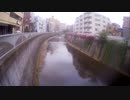 ｛高田馬場｝戸田平橋の川