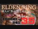 その辺の褪せ人の侵入35