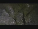 シケキノコ 2024/4/12(金) 19:35開始 ^^hello welcome to mush room~今日もちかれた。。。36歳にもなると疲れがとれない疲労回復するにはどうしたらいいのだろう