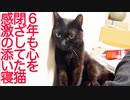 ６年間心を閉ざしてた猫、遂に添い寝をする
