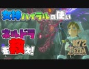 【ゼルダの伝説 BotW】#72　厄災ガノンの瘴気に当てられた聖なる使い！