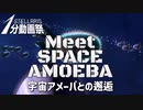 【Stellaris1分動画祭】宇宙アメーバとの邂逅