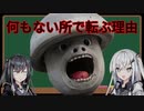 【コエフォント解説】日常に潜む小さな生物専門家【ナンモナヒトコロガシ編】