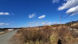 折りたたみ自転車で郷土料理吉田うどんを食べに行く 秋の紅葉 渡辺うどん編