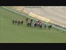 2014 ヴィクトリアマイル(GI)　ヴィルシーナ