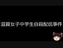【ゆっくり朗読】ゆっくりさんと日本事件簿 その512