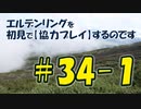 #34-1 エルデンリングを 初見で【協力プレイ】するのです
