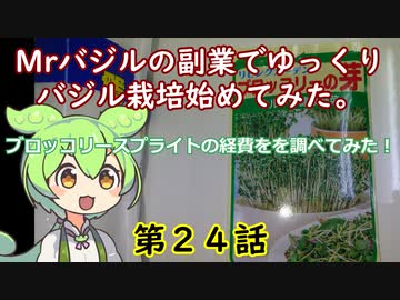第２４話Mrバジルの副業でゆっくりバジル栽培始めてみた。