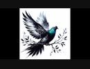 キミは黒い翼の鳩を見たことがあるかい？