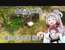 【ピクミン1】 東北イタコは抜くようです Part017 【VOICEROID実況】