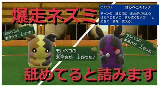 【好きなポケモンで勝ちたい】爆走ネズミの「モルペコ」を舐めてるととんでもないことになります...視聴者リクエスト企画第三弾！【ポケモンSV】