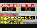 【第五弾】関東のマジでむかつく列車の行先3選【JR東日本】【ゆっくり解説】#Shorts