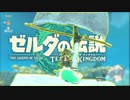 パンいちの海賊『ゼルダの伝説 ティアーズ オブ ザ キングダム』#4
