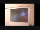 1000年使われていなかった風呂のドアを開けるMUR