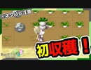【ルーンファクトリー４】目指せ理想のスローライフ！～４日目～『カブ収穫編』