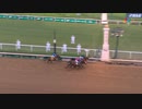 2024 Kentucky Derby Mystik Dan