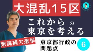 内海聡の東京都行政の問題点⑥大混乱15区！