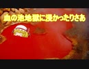 【Ib】恐怖の美術館から脱出せよ！【ゆっくり実況】part4