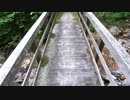 Crossing a moss-covered wooden bridge.